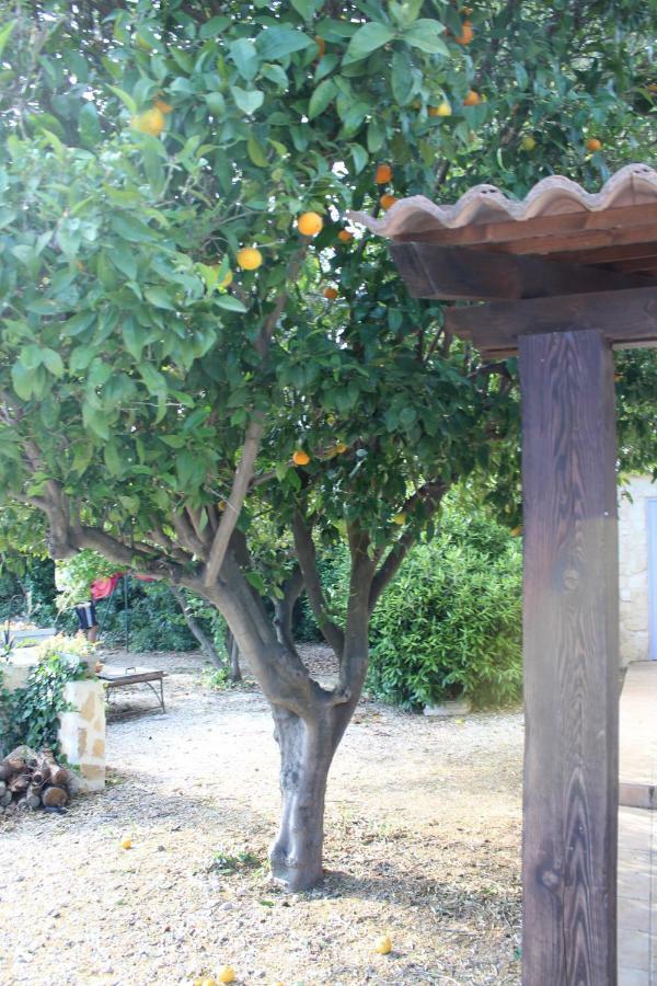 Appartamento Mas Fany Et Olivier Saint-Estève Esterno foto